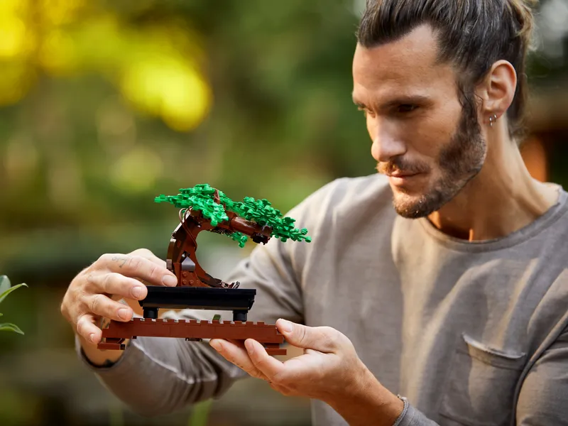 Bonsai