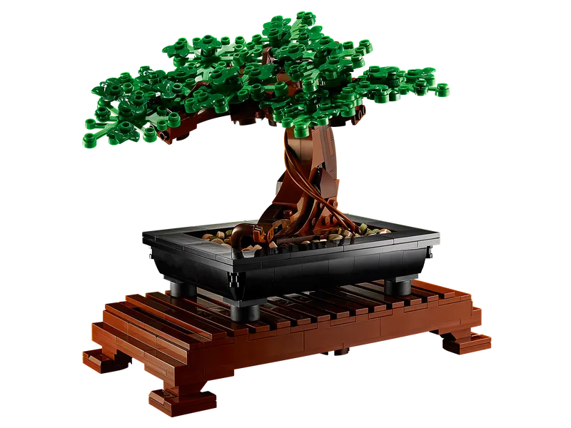 Bonsai