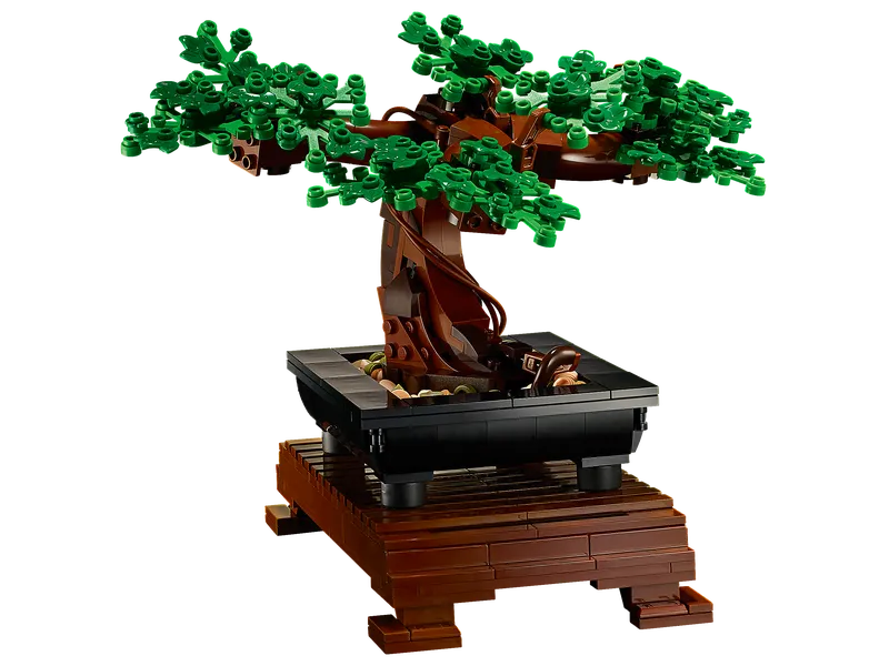 Bonsai