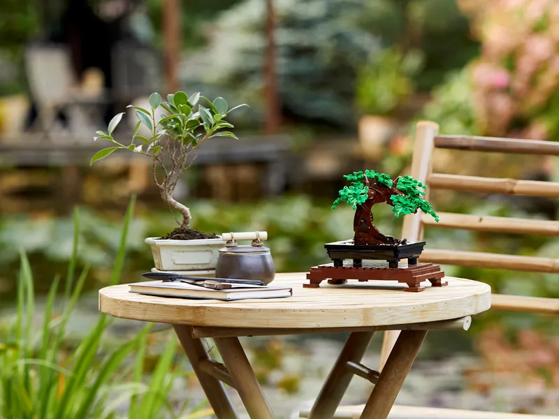 Bonsai