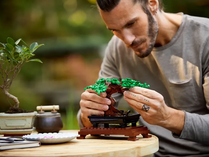 Bonsai