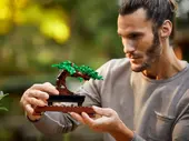 Bonsai