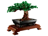 Bonsai
