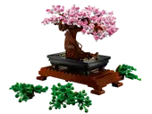 Bonsai
