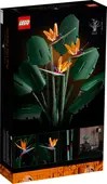 Bird of Paradise