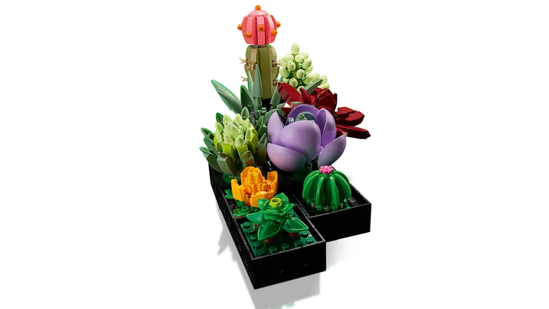Succulents