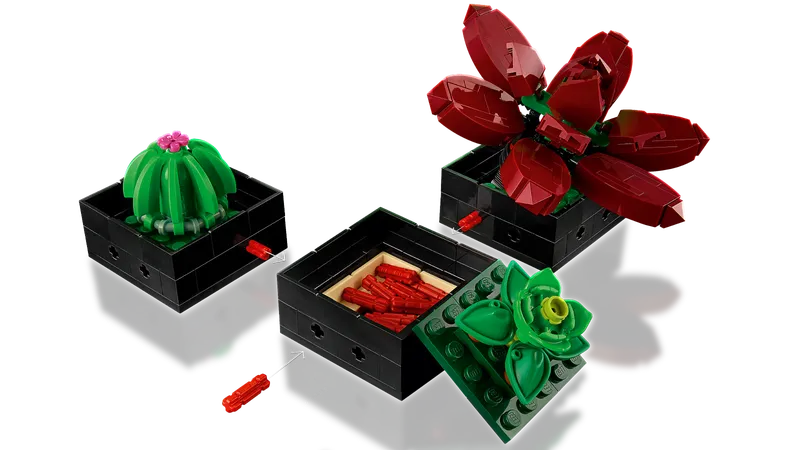 Succulents