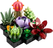 Succulents