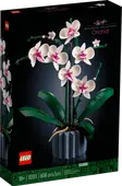 Orchid