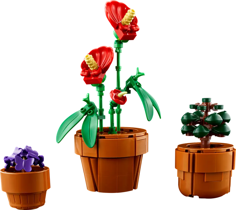 Tiny Plants
