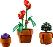 Tiny Plants