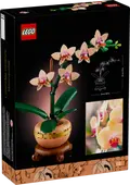 Mini Orchid