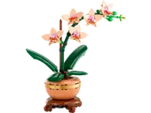 Mini Orchid