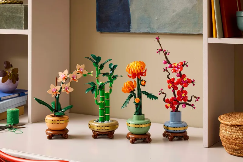 Lucky Bamboo