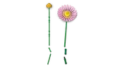 Petite Sunny Bouquet