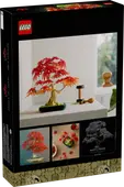 Japanese Red Maple Bonsai Tree