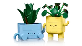 Happy Plants