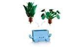 Happy Plants