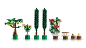 Fountain Garden