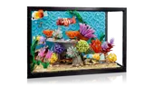 Tropical Aquarium