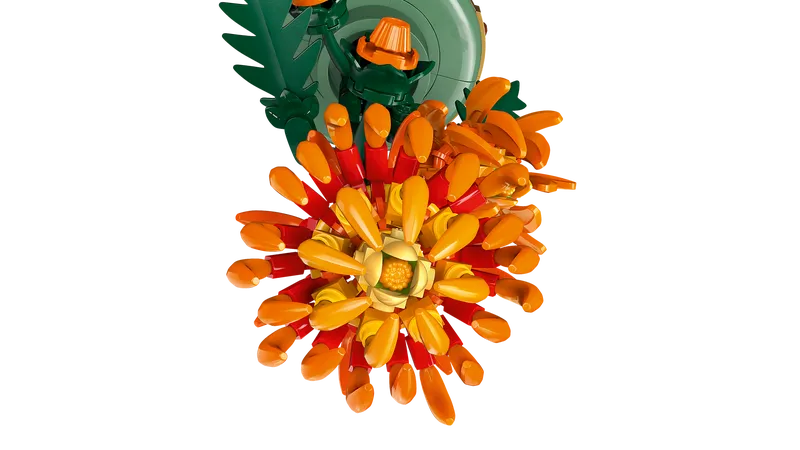 Chrysanthemum