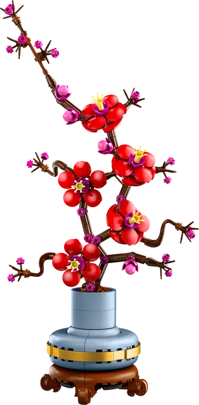 Plum Blossom