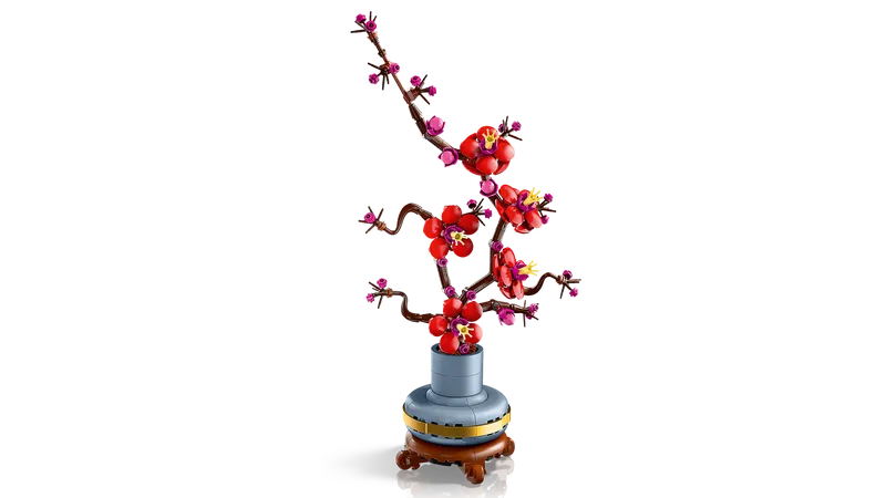 Plum Blossom