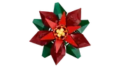 Poinsettia