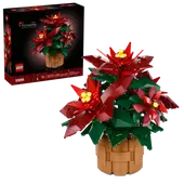 Poinsettia