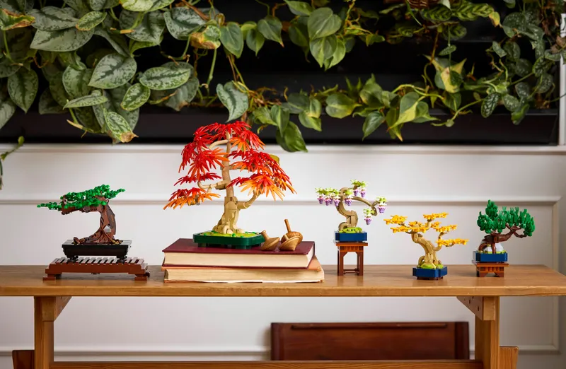 Mini Bonsai Trees