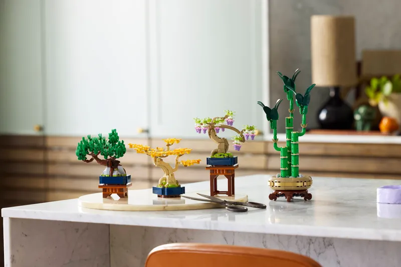 Mini Bonsai Trees