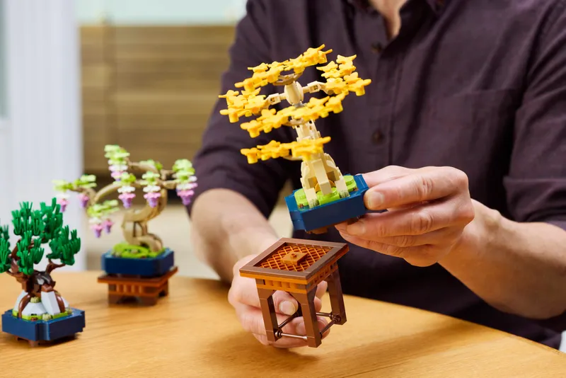 Mini Bonsai Trees