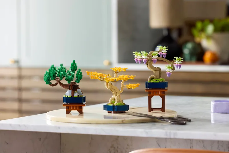 Mini Bonsai Trees