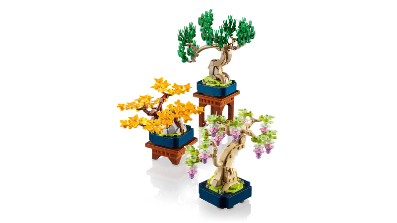 Mini Bonsai Trees