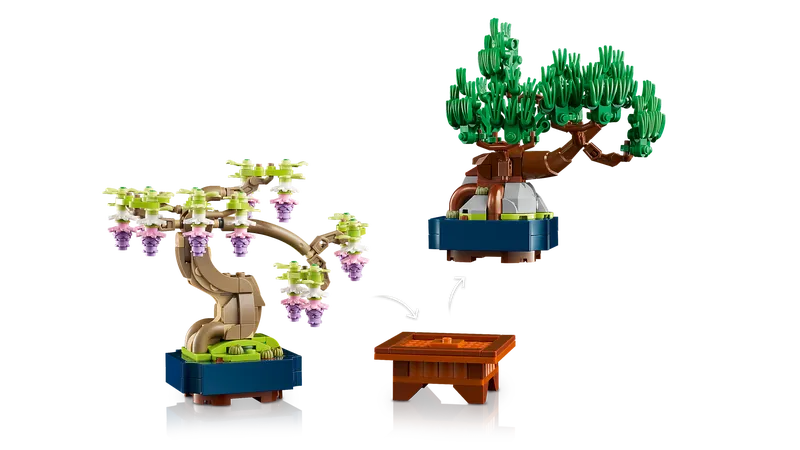 Mini Bonsai Trees