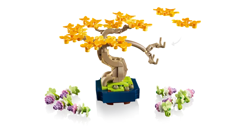 Mini Bonsai Trees