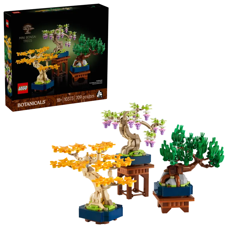 Mini Bonsai Trees