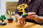 Mini Bonsai Trees
