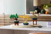 Mini Bonsai Trees