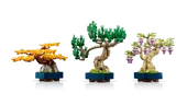 Mini Bonsai Trees