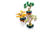 Mini Bonsai Trees