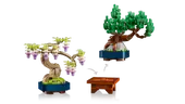 Mini Bonsai Trees