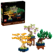 Mini Bonsai Trees