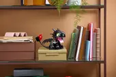 How to Train Your Dragon: Toothless