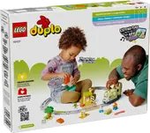 Interactive Adventure Train
