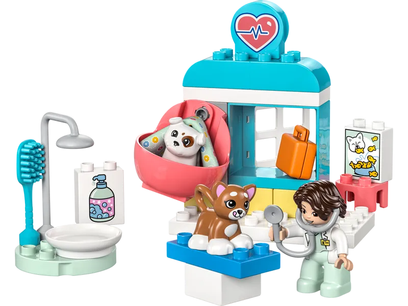 Visit to the Vet Clinic