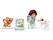Visit to the Vet Clinic
