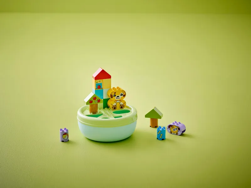Shape Sorter: Puppy House