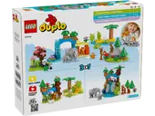 3in1 Wild Animal Families