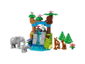 3in1 Wild Animal Families